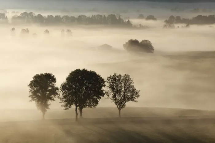 Framed Print : Morning fog over Loisach Moor or Loisach-Kochelsee-Moor, Blaues Land region, Upper Bavaria, Bavaria, Germany, Europe Framed Print : Morning fog over Loisach Moor or Loisach-Kochelsee-Moor, Blaues Land region, Upper Bavaria, Bavaria, Germany, Europe