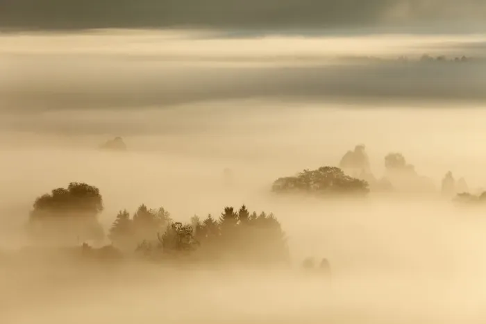 Framed Print : Morning fog over Loisach Moor or Loisach-Kochelsee-Moor, Blaues Land region, Upper Bavaria, Bavaria, Germany, Europe Framed Print : Morning fog over Loisach Moor or Loisach-Kochelsee-Moor, Blaues Land region, Upper Bavaria, Bavaria, Germany, Europe