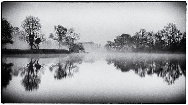 Morning of fog on the river Cher, Savonnieres, France