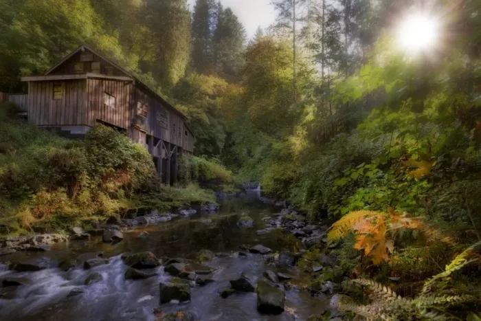 Framed Print : Morning Light by Cedar Creek Grist Mill Framed Print : Morning Light by Cedar Creek Grist Mill
