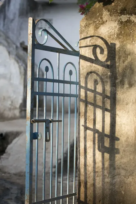 Framed Print : Morning light on a gate, Udaipur, Rajasthan, India Framed Print : Morning light on a gate, Udaipur, Rajasthan, India