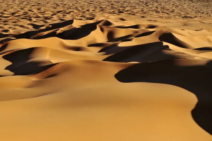 Framed Print : Morning light on the sanddunes at Erg Tihoulahoun, Erg Tihoulahoun, Immidir or Mouydir, Sahara, Tamanrasset Province, Algeria