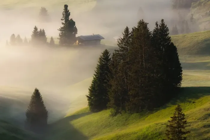 Framed Print : Morning Mist in Alpe Di Siusi Framed Print : Morning Mist in Alpe Di Siusi