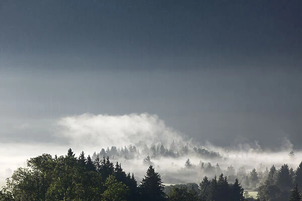 Morning mist over the forest, Gaissach, Isarwinkel, Upper Bavaria, Bavaria, Germany, Europe
