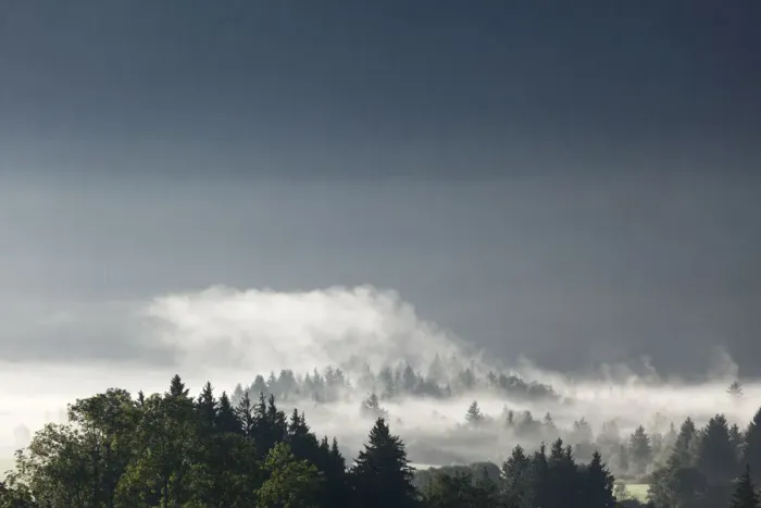 Framed Print : Morning mist over the forest, Gaissach, Isarwinkel, Upper Bavaria, Bavaria, Germany, Europe Framed Print : Morning mist over the forest, Gaissach, Isarwinkel, Upper Bavaria, Bavaria, Germany, Europe