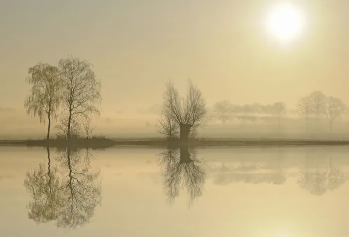 Framed Print : Morning mood at a lake at sunrise, near Tangstedt, Schleswig-Holstein, Germany, Europe Framed Print : Morning mood at a lake at sunrise, near Tangstedt, Schleswig-Holstein, Germany, Europe