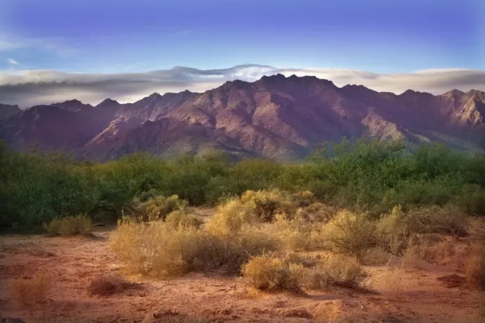 Framed Print : Morning in Sonora Desert at Phoenix, Arizona