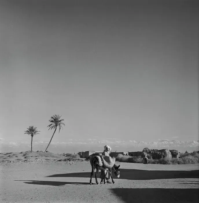 Framed Print : A Moroccan Man With A Mule Framed Print : A Moroccan Man With A Mule