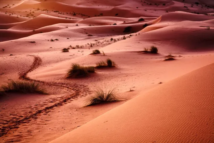 Framed Print : Morocco - Sahara: Desert Trail Framed Print : Morocco - Sahara: Desert Trail