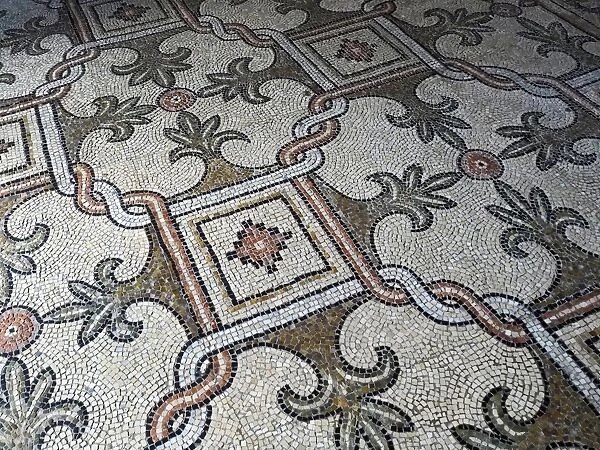 Detail of Mosaic Floor in Basilica San Vitale, Ravenna, Italy