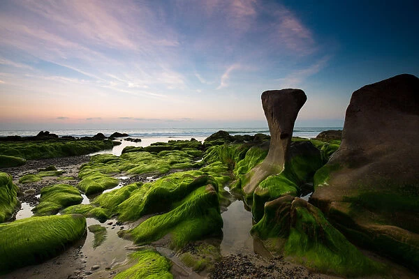 Moss cover rock in a forbidden beach in Vietnam