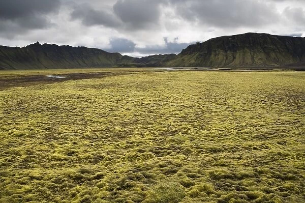 Moss-covered mountains, landscape near Maelifell, Highland, Iceland, Europe