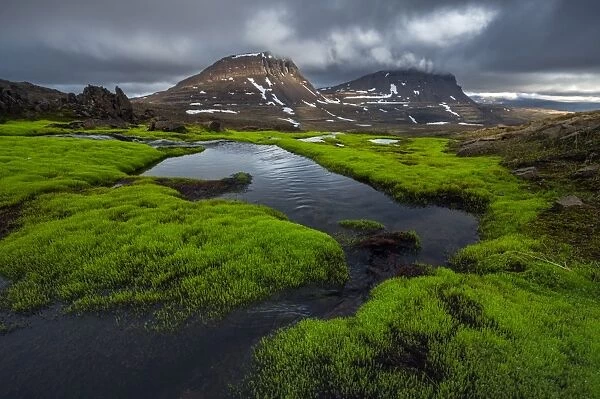 Moss creek landscape at Westfjords, Iceland