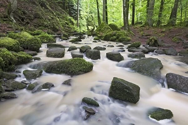 Mossy rocks in Monbach creek, Black Forest, Baden-Wuerttemberg, Germany, Europe
