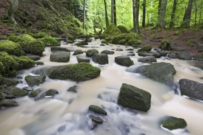 Framed Print : Mossy rocks in Monbach creek, Black Forest, Baden-Wuerttemberg, Germany, Europe Framed Print : Mossy rocks in Monbach creek, Black Forest, Baden-Wuerttemberg, Germany, Europe