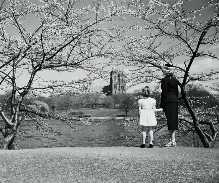 Framed Print : Mother and daughter (8-9 years) looking at view, Newark, Essex County, New Jersey, USA. April 14, 1954 Framed Print : Mother and daughter (8-9 years) looking at view, Newark, Essex County, New Jersey, USA. April 14, 1954