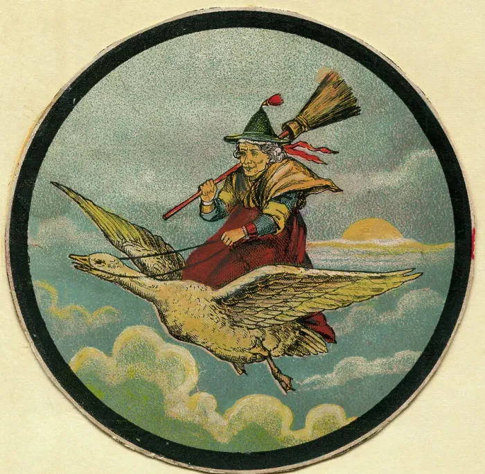Framed Print : Mother Goose Riding Atop of Goose Framed Print : Mother Goose Riding Atop of Goose