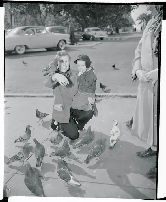 Framed Print : Mother and Son Feeding Pigeons Framed Print : Mother and Son Feeding Pigeons