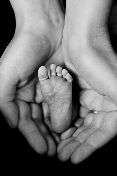Mothers hands cradling babys foot