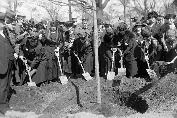 Framed Print : Mothers Planting Tree During Ceremony