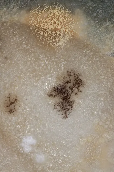 Framed Print : Mould, spores, mould culture, on sausage Framed Print : Mould, spores, mould culture, on sausage