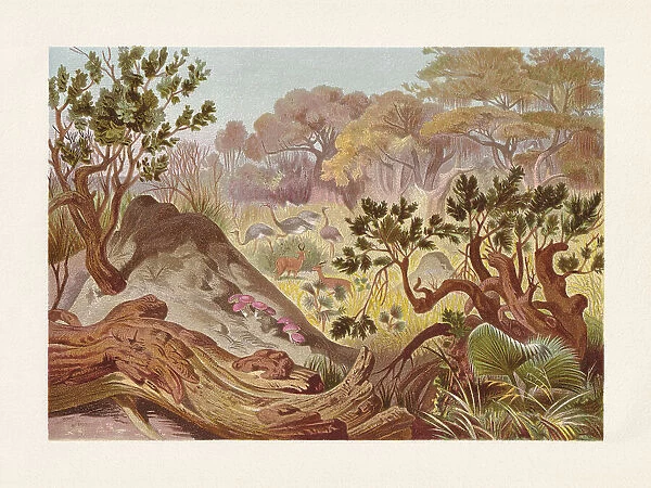 Mound-building termites in Africa, chromolithograph, published in 1884