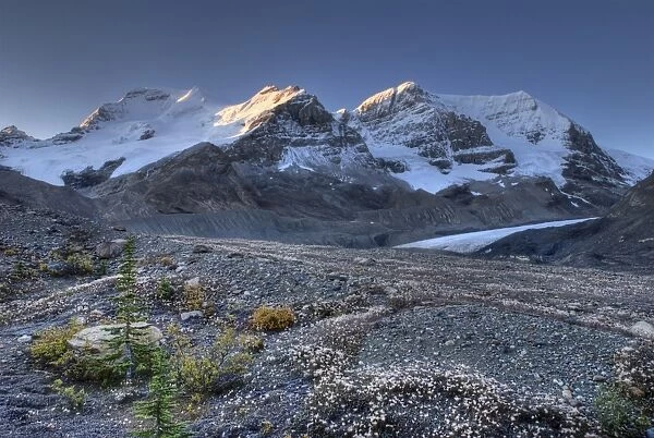 Mount Athabasca, Mount Andromeda, Columbia Icefield, Jasper National Park, Canada