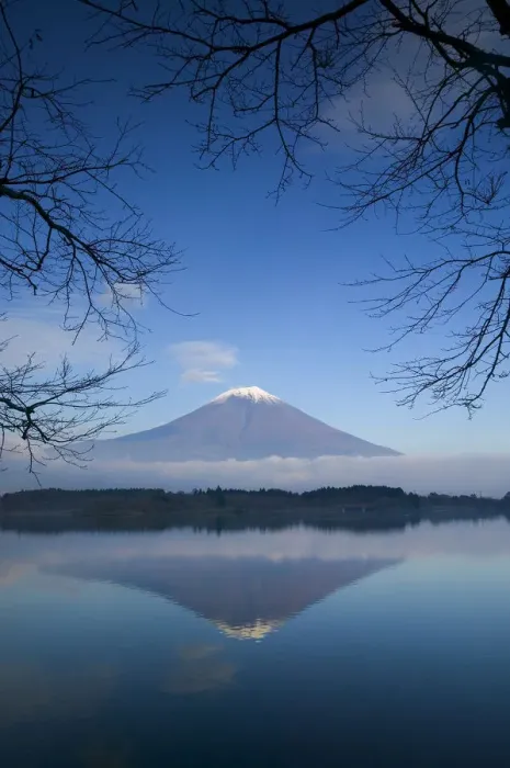 Framed Print : Mount Fuji reflected in Lake Motosu, Fuji-Hakone-Izu National Park, Honshu, Japan Framed Print : Mount Fuji reflected in Lake Motosu, Fuji-Hakone-Izu National Park, Honshu, Japan