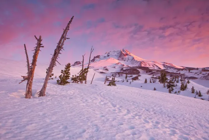 Framed Print : Mount Hood Framed Print : Mount Hood