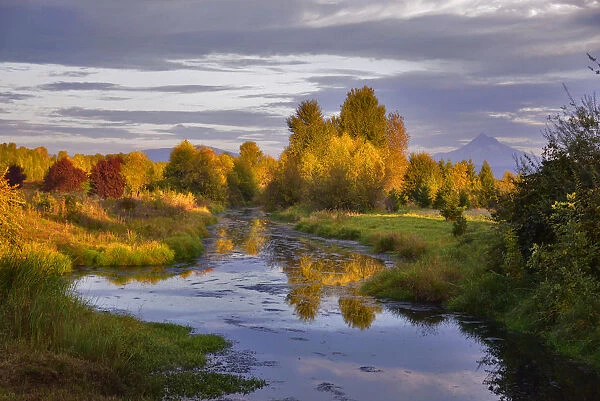 Mount Hood and Columbia Slough at sunset in autumn, Portland, Oregon, USA