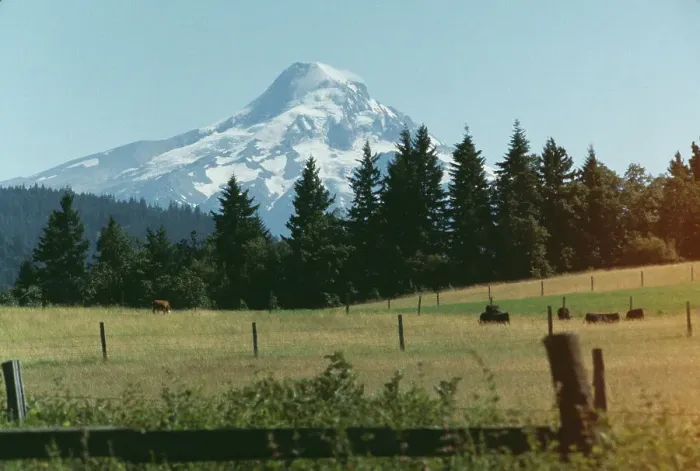 Framed Print : Mount Hood, Oregon Framed Print : Mount Hood, Oregon
