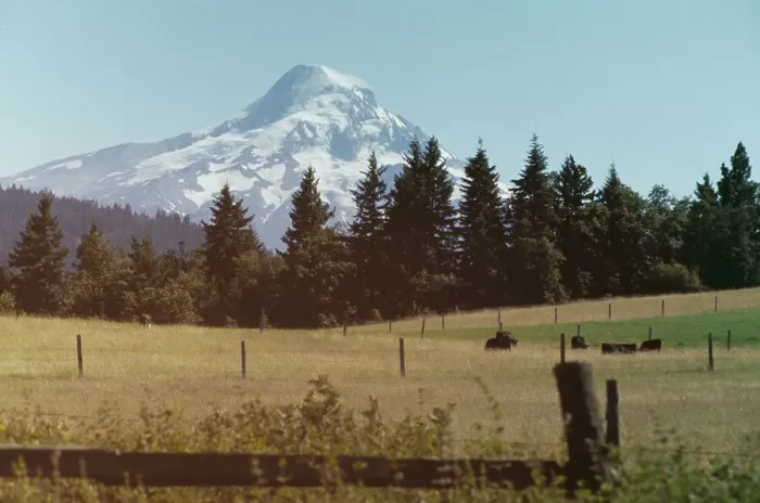 Framed Print : Mount Hood, Oregon Framed Print : Mount Hood, Oregon