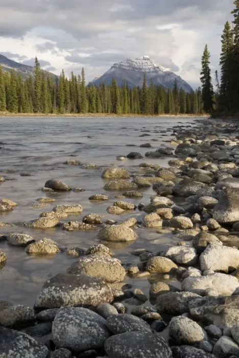Framed Print : Mount Kerkeslin, Jasper, Alberta, Canada