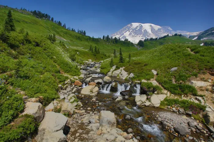 Framed Print : Mount Rainier and Edith Creek cascade, Mount Rainier National Park, Washington State, USA
