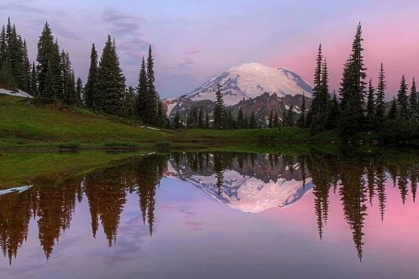 Mount Rainier Reflection Dawn