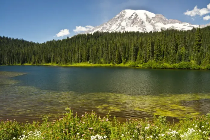 Framed Print : Mount Rainier and Reflection Lakes on sunny day, Mount Rainier National Park, Washington State, USA Framed Print : Mount Rainier and Reflection Lakes on sunny day, Mount Rainier National Park, Washington State, USA