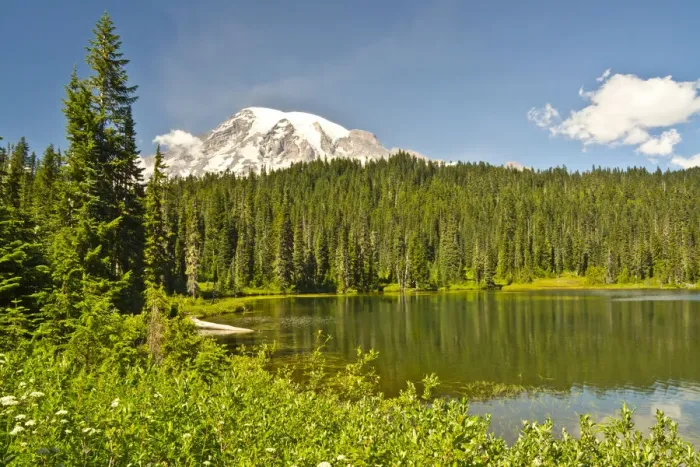 Framed Print : Mount Rainier and Reflection Lakes on sunny day, Mount Rainier National Park, Washington State, USA Framed Print : Mount Rainier and Reflection Lakes on sunny day, Mount Rainier National Park, Washington State, USA