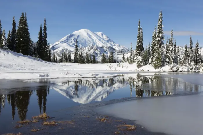 Framed Print : Mount Rainier and Upper Tipsoo Lake, Mount Rainier National Park, Washington State, USA Framed Print : Mount Rainier and Upper Tipsoo Lake, Mount Rainier National Park, Washington State, USA