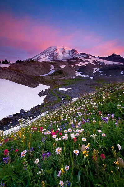 Mount Rainier wildflowers at sunrise