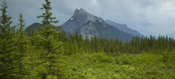 Framed Print : Mount Rundle Framed Print : Mount Rundle