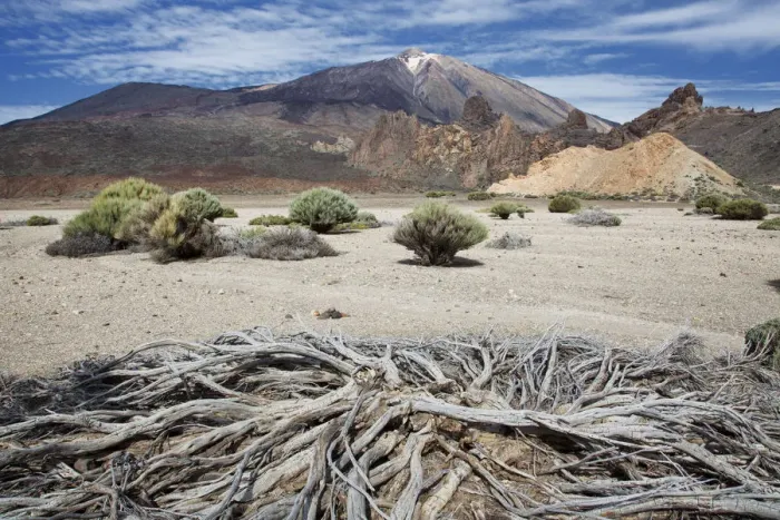 Framed Print : Mount Teide landscape Framed Print : Mount Teide landscape