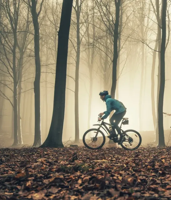 Framed Print : Mountain biker in misty forest Framed Print : Mountain biker in misty forest