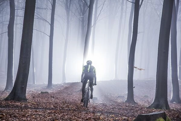 Mountain biker in misty forest