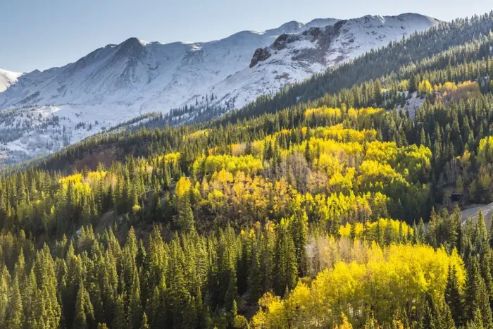 Framed Print : Mountain and forest in autumn, Red Mountain Pass, Colorado, USA