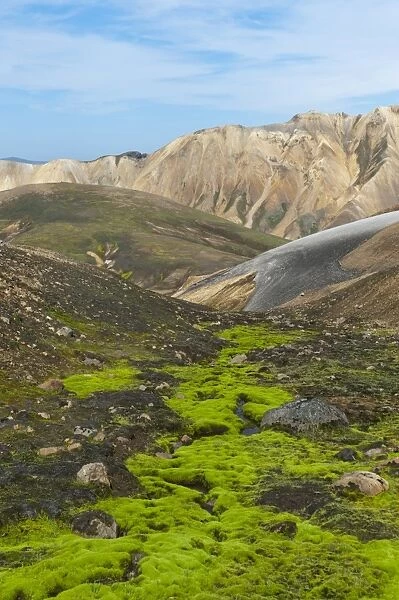 Mountain landscape, colourful rhyolite rock, partly overgrown with green moss, Landmannalaugar, Highlands, Sudurland, Iceland