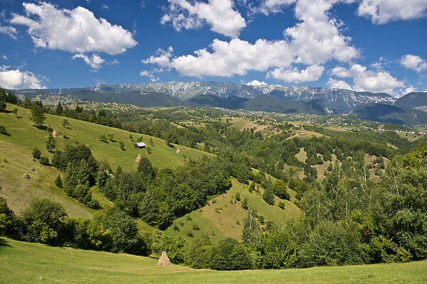 Mountain landscape with meadows in front of mountains, Carpathians, Romania