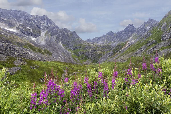 Mountain landscape in Talkeetna Mountains, Alaska, USA