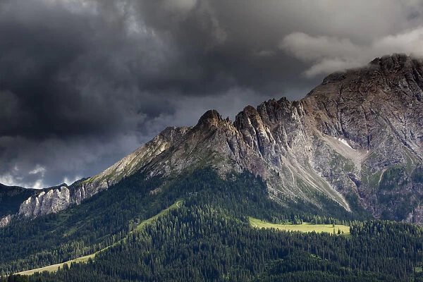 Mountain meadow with Latemar Mountain, stormy mood, Karerpass, Dolomiten, South Tyrol province, Trentino-Alto Adige, Italy