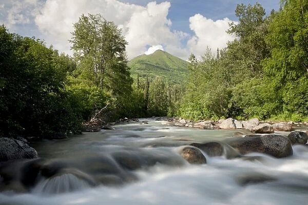 Mountain stream in the Talkeetna Mountains, Alaska, USA, North America