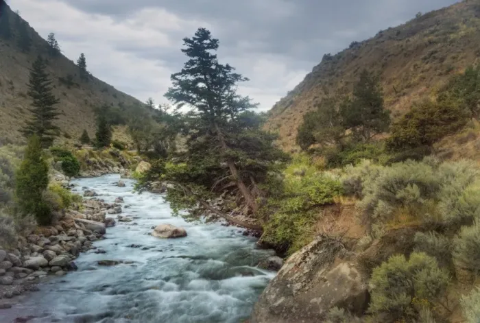 Framed Print : Mountain Stream, Yellowstone Park Framed Print : Mountain Stream, Yellowstone Park